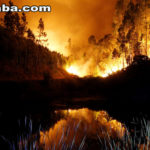 Incêndio doméstico mata idosa na cidade de Milagres