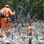 Fim das buscas: Bombeiros encontraram no mangue da Vila Velha os corpos das garotar torturadas e mortas