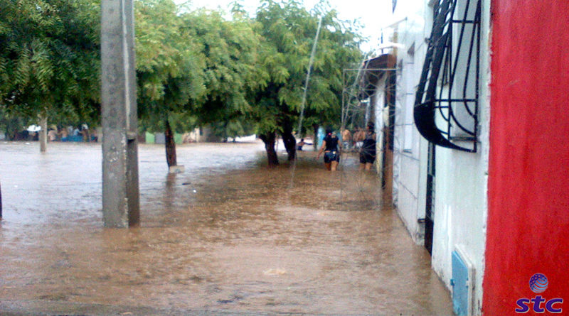 Alamento em Forquilha - - Cecará