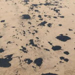 Fragmentos de óleo reaparecem no litoral do Nordeste
