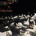 Mais de 4 toneladas de maconha são encontradas em caminhão após denúncia, em Aquiraz