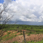 Inmet alerta para risco de chuvas intensas em 104 municípios do Ceará