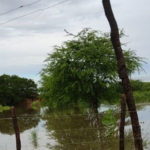 Ceará tem chuva em mais de 80 municípios em 24 horas; Iguatu registra alagamentos