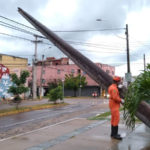 Corpo de Bombeiros remove palmeira caída sobre fiação elétrica em Sobral