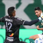 CRB elimina Palmeiras com show de goleiro ex-Ceará; veja tudo da noite nordestina na Copa do Brasil