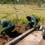 Sobral: Jardineiros da AMA iniciam curso de formação inicial e continuada