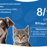 10ª campanha de adoção de cães e gatos acontecerá nesta sexta-feira (08/10)