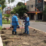 Agência Municipal do Meio Ambiente realiza plantio de 393 árvores na ciclovia Lela