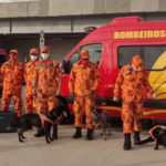 Bombeiros do Ceará enviam militares para reforçar buscas por vítimas em Petrópolis