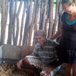 Produtores de Aracatiaçu recebem aves caipiras para comercialização no PAB