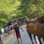 Caminhão que transportava cavalos vivos tomba em Tianguá, no Ceará