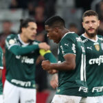 Palmeiras hendecacampeão: veja números da campanha do campeão da Série A