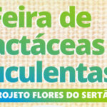 Prefeitura de Sobral realiza I Feira de Cactáceas e Suculentas na sexta-feira (16/12)