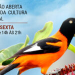 Prefeitura de Sobral anuncia abertura da exposição “Aves de Sobral” na Casa da Cultura