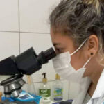 Laboratório de Citopatologia de Sobral é o 2° no Ceará que mais analisa lâminas de exame