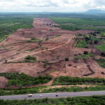 AMA aplica multa superior a R$ 670 mil por desmatamento ilegal de mais de 80 hectares
