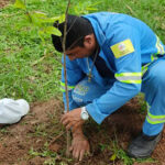 Agência Municipal do Meio Ambiente de Sobral amplia a arborização urbana no município