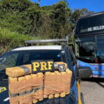 Em duas ações, PRF apreende R$ 3,7 milhões em drogas em Tianguá e Milagres