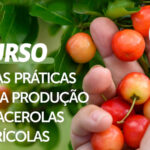 STDE abre inscrições para curso de produção de acerolas agrícolas para produtores da região