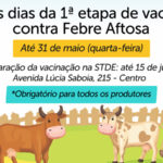 Prazo para vacinar bovinos e bubalinos contra febre aftosa encerra nesta quarta (31)