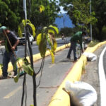AMA de Sobral realiza manutenção nos corredores verdes do município