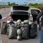 Homem preso com 102 kg de maconha é condenado à prisão no Ceará; namorada é absolvida