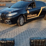 Policia Federal apreende 55 quilos de cocaína em navio atracado no Porto do Pecém