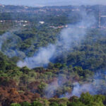 Bombeiros ainda combatem incêndio no Parque do Cocó e trabalham em ‘pontos de calor’ nesta sexta